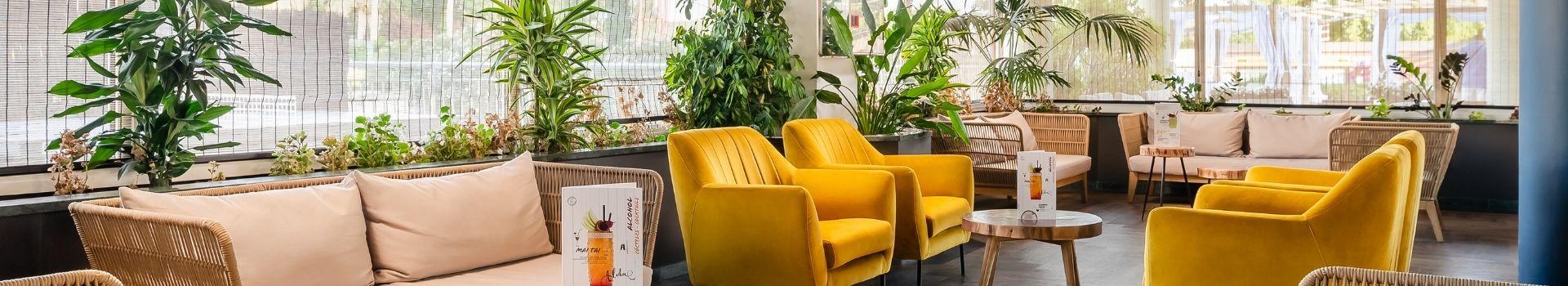 Alegria Hotels - Santa Susanna - Alegria Hotels - Santa Susanna -